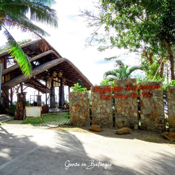 FB_IMG_1761377657394