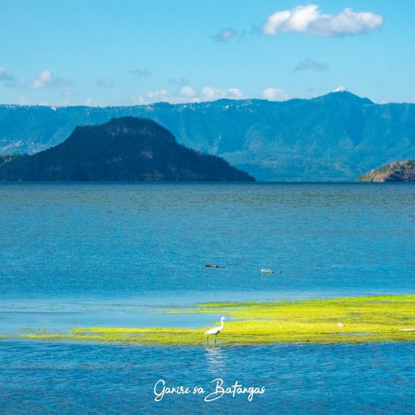 FB_IMG_1761377666936