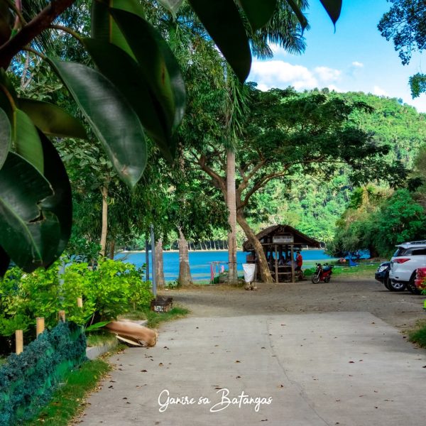 FB_IMG_1761377705491